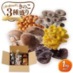 fu.... налог Pro . тщательно отобранный! органический .. .3 вид пик (1kg) [ Tottori префектура .. город ] Tottori префектура .. город 