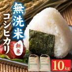 令和8年産 産コシヒカリ10kg 天然の山水だけで育てたお米