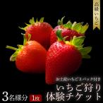 オリジナルいちごと ブランドいちごの食べ比べ