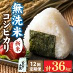 令和8年産 産コシヒカリ3kg 天然の山水だけで育てたお米 3kg