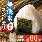 令和8年産 産コシヒカリ5kg 天然の山水だけで育てたお米 5kg
