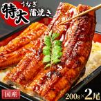 200g×2尾