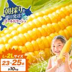 とうもろこし ゴールドラッシュ 10kg