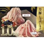 力豚 豚肉 もも ロース しゃぶしゃぶ 2種