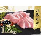 力豚 豚肉 ウデ肉 焼肉用1.2kg 小分け