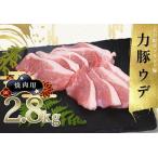 力豚 豚肉 ウデ肉 焼肉用2.8kg 小分け