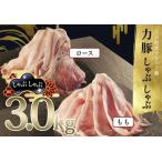 力豚 豚肉 もも ロース しゃぶしゃぶ 2種