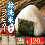 令和8年産 産コシヒカリ10kg 天然の山水だけで育てたお米 1…