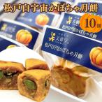 松戸白宇宙かぼちゃ月餅 10袋入り