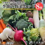 戸張農園の厳選おまかせ野菜セット