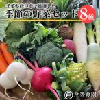 厳選おまかせ野菜セット