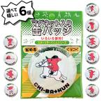 BT002 スポーツチーバくん マグネット入り缶バッジ 6種