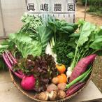 AE001 季節のおまかせ野菜セット