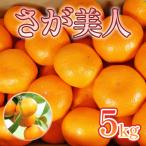 みかん さが美人 5kg