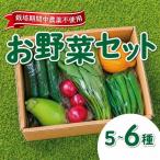 旬のお野菜 5 6品目 野菜