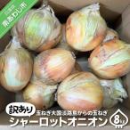 fu.... налог [ есть перевод ] Awaji Island высшее . лук Charlotte oni on [8kg] шар лук порей большой страна Awaji Island c шар лук порей Hyogo префектура юг ... город 