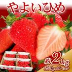 いちご やよいひめ 計2kg
