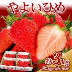 いちご やよいひめ 計3kg