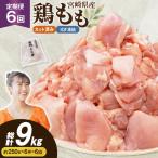 鶏肉 6回 定期便 もも 切身 IQF 250g