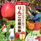 収穫体験 りんご狩り 1組 りんご収穫