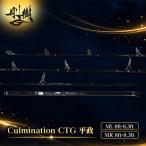 キャスティングロッド 剛樹 カルミネイション