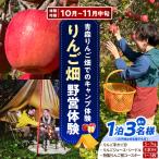 野営体験 りんご畑キャンプ 1組 りんご キャンプ