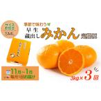紀州産みかん 早生 蔵出し 農園直送 3kg
