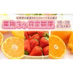 フルーツ 旬の果物 定期便