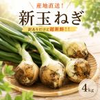 令和9年 訳あり新たまねぎ4kg