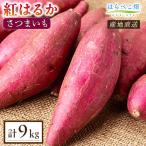 さつまいも 紅はるか 4.5kg×2箱