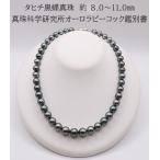 2190 タヒチ黒蝶真珠 約8.0~11.0mm