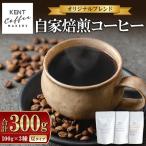 コーヒー 豆 スペシャルティコーヒー 100g