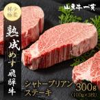 シャトーブリアン ステーキ 100g×3