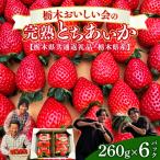 栃木おいしい会のいちご とちあいか 260g×6パック