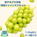 特選シャインマスカット 約1.2kg