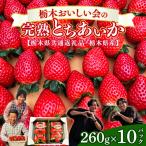 栃木おいしい会のいちご とちあいか 260g×10パック