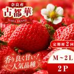 平群の古都華 いちご M 2Lサイズ 2パック