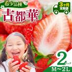 いちご 平群の古都華 M~2Lサイズ お任せ 2パック×1ケース