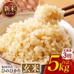 ひのひかり 米 お米 白米 5kg