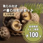 椎茸 一番椎茸セット