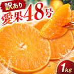 みかん 訳あり 愛果48号 約1kg