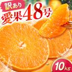 みかん 訳あり 愛果48号 約10kg