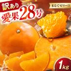 みかん 訳あり 愛果28号 約1kg