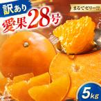 みかん 訳あり 愛果28号 約5kg