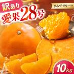 みかん 訳あり 愛果28号 約10kg