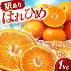 みかん 訳あり はれひめ 約1kg