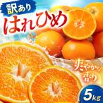 みかん 訳あり はれひめ 約5kg
