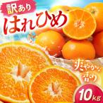 みかん 訳あり 愛果28号 約10kg
