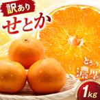 みかん 訳あり せとか 約1kg