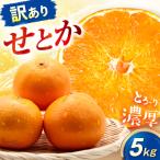 みかん 訳あり せとか 約5kg